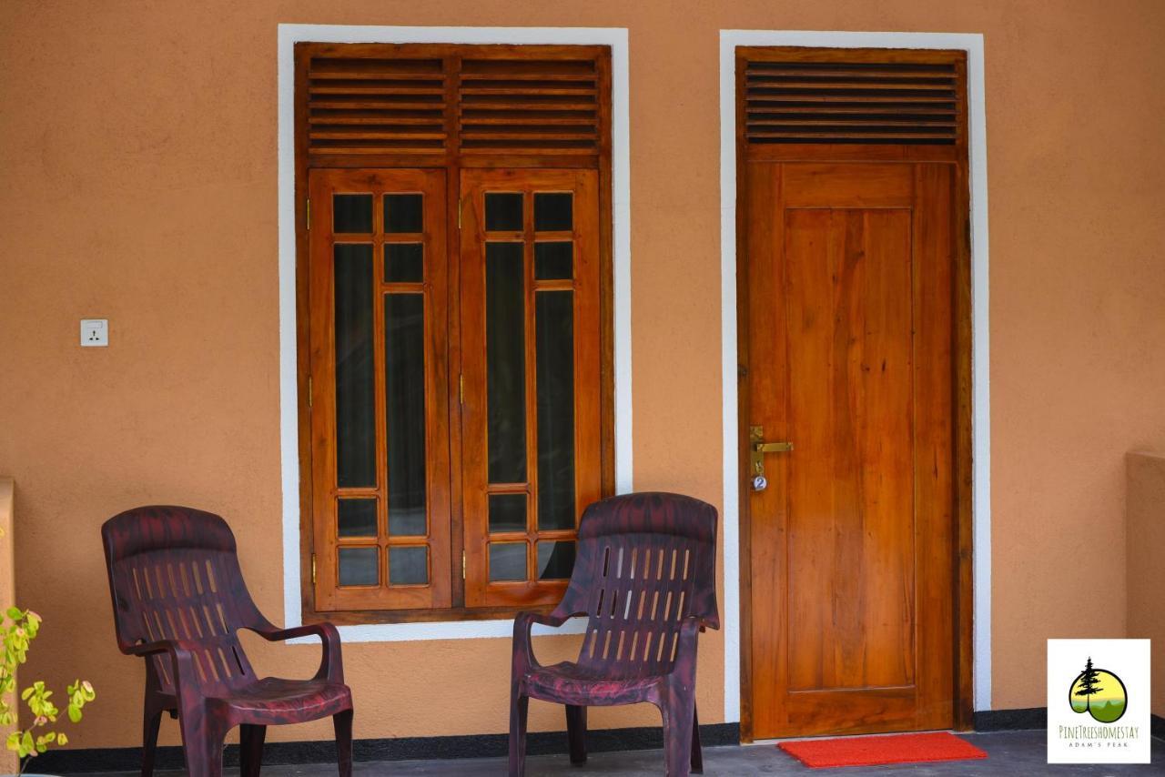 Pine Trees Homestay Nallathanniya Exterior foto